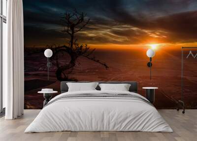 Two friends and sunset Wall mural