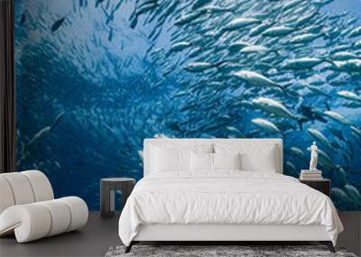 A school of bigeye trevally Wall mural