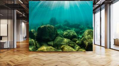 Rays of sunlight shining into sea, underwater view Wall mural