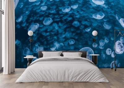 School of Water Jelly Wall mural