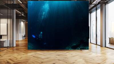 Sunlight to Underwater Wall mural