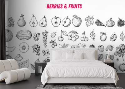 Berries and fruits drawing collection. Hand drawn berry and fruit sketch. Vector illustration. Engraved style. Wall mural