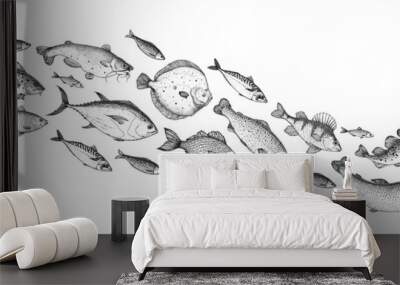 Fish sketch collection. Hand drawn vector illustration. School of fish vector illustration. Food menu illustration. Hand drawn fish set. Engraved style. Sea and river fish Wall mural