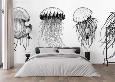 Jellyfish sketch set. Hand drawn vector illustration. Sea jellyfish collection. Design elements. Engraved style. Wall mural