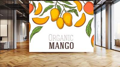 Ripe mango, palm leaves, parrot and toucan bird. Hand drawn vector illustration. Tropical fruit. Packaging design, menu design, juice packaging. Mango frame. Wall mural