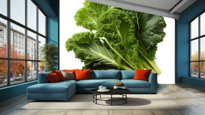  Kale png. kale top view png. kale flat lay png. kale isolated Wall mural