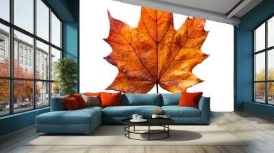 Autumn leaf png. dried up fall leaf top view png. white birch leaf png. maple leaf flat lay isolated. orange fall autumn chestnut leaf png Wall mural