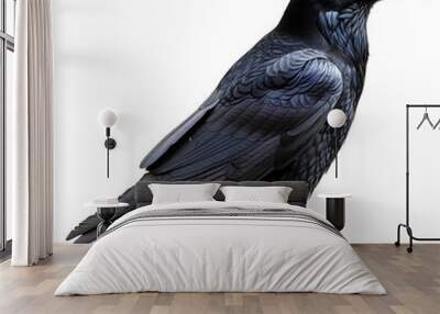 Black raven PNG. Raven bird PNG. Black crow isolated Wall mural