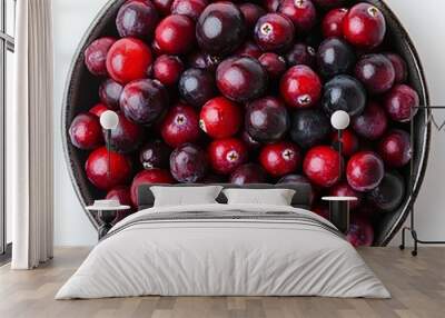 Cranberries isolated on white background with shadow. Cranberry fruit for thanksgiving dinner during autumn fall harvest Wall mural