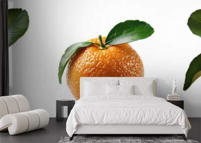 kumquat fruit set png. kumquat fruit png. autumn fall harvest of kumquat fruit isolated. orange fruit png Wall mural