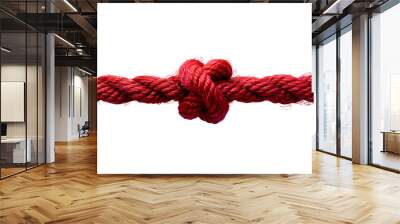 Red rope with knot PNG. Red thick string with rope in the middle isolated. Shoe lace string PNG. String top view PNG. Red rope flat lay PNG Wall mural