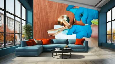 Decontamination of metal door handle. Removing germs from the handle on the front door. Spray with a sanitizer and a rag in a woman's hand. The cleaner is cleaning the apartment. blue gloves Wall mural