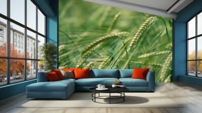 Barley grain is used for flour, barley bread, barley beer, some whiskeys, some vodkas, and animal fodder. Vertical orientation Wall mural