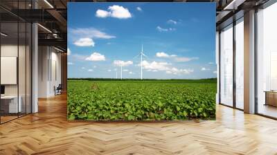 Green spring field with bean plants and wind turbines - the concept is renewable energy and environmental conservation Wall mural