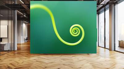 Macro of a plant spiral - selective focus Wall mural