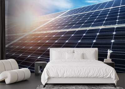 photovoltaic panels - alternative electricity source Wall mural