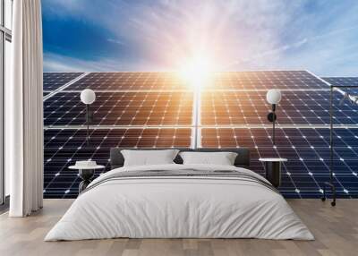 photovoltaic panels - alternative electricity source Wall mural