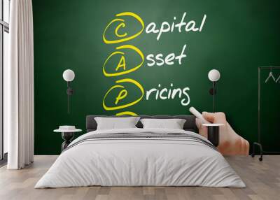 CAPM – Capital Asset Pricing Model acronym, business concept on blackboard Wall mural