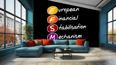 EFSM European Financial Stabilisation Mechanism - emergency funding programme reliant upon funds raised on the financial markets, acronym text concept background Wall mural