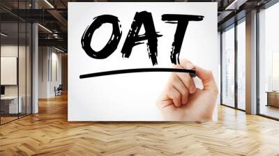 OAT - Operational Acceptance Testing acronym with marker, business concept background Wall mural