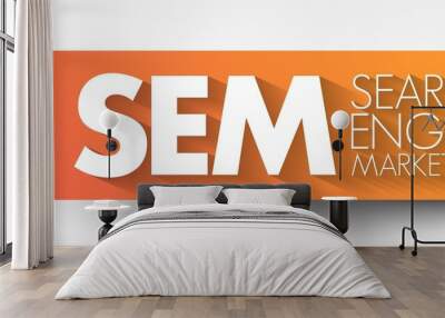 SEM - Search Engine Marketing acronym, business concept background Wall mural