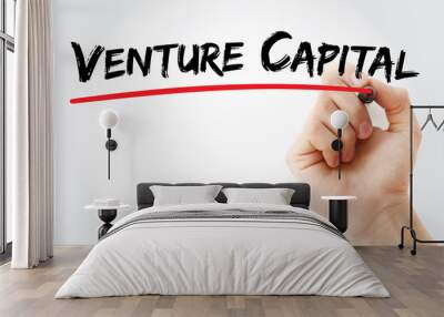 VC - Venture Capital acronym, business concept background Wall mural