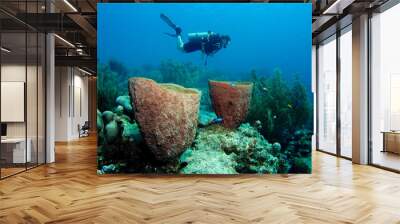 A diver floating over a coral reef in the Caribbean Sea Wall mural