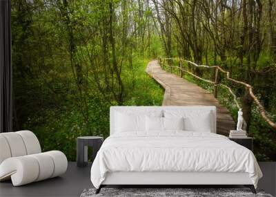 National Park Ropotamo Bulgaria. Wooden bridge leads to the Ropotamo river crossing green spring forest. Wall mural