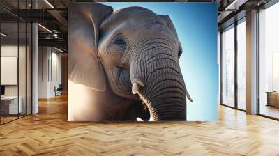 Beautiful elephant outside in his prime Wall mural