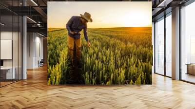 African farmer is standing in his growing wheat field. He is examining progress of plants. Wall mural