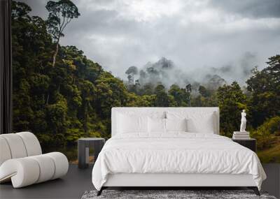 Lush Rainforests Wall mural