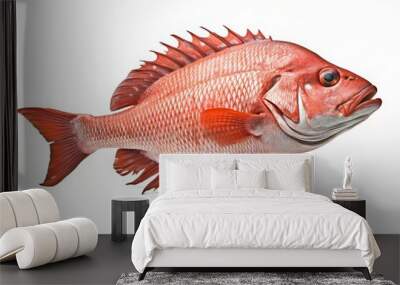 Red snapper isolated on a white background Wall mural