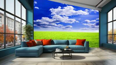 beautiful summer landscape. Wall mural