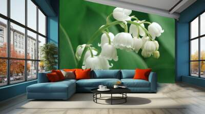 lily of the valley Wall mural