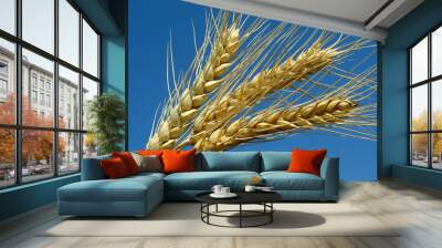 three golden wheat ears against blue sky Wall mural