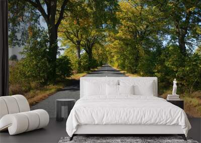 Empty countryside road with autumn trees Wall mural