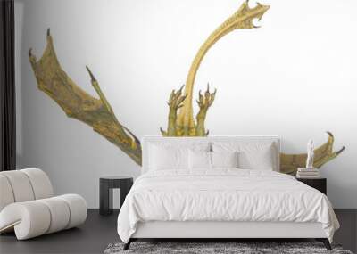 dragon is flying and diving on white background Wall mural