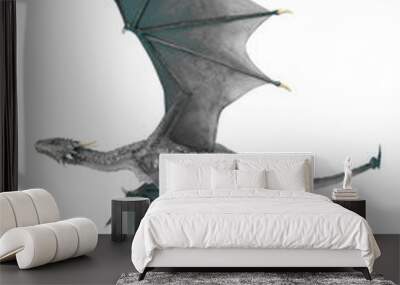 dragon is passing by Wall mural