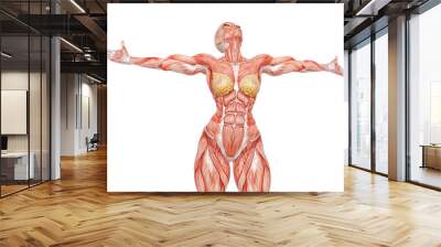 female bodybuilder is showing the muscles with the arms wide open white background Wall mural