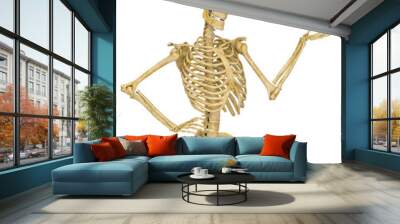 skeleton in presenting pose on close up view Wall mural