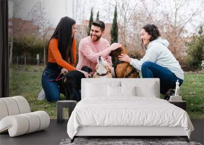 Group of friends meet in the park with their dogs. Wall mural