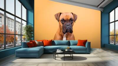 Portrait of cute boxer dog on colorful backgrounds, orange Wall mural