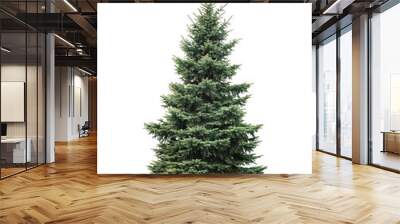 Big green fir tree isolated on white background Wall mural