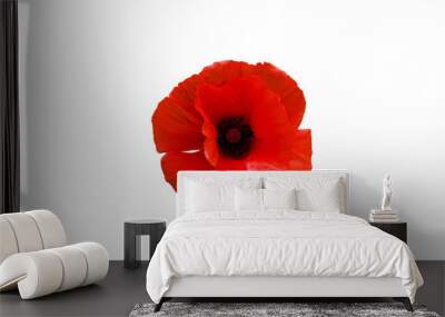 red poppy flower isolated on white background Wall mural