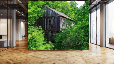 the saw mill at moore state park Wall mural