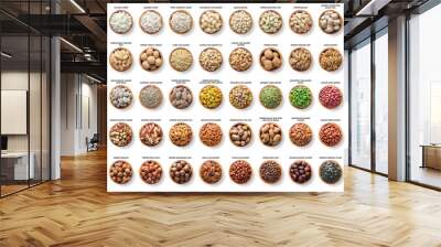 collection nuts and seeds isolated on white background. pecans, hazelnuts, walnuts, pistachios, almonds, macadamia, cashews, peanuts, sunflower, coconut, apricot kernel, pumpkin seeds, pine and brazil Wall mural