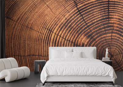 saw cut texture with annual rings and cracks. old tree stump as background Wall mural