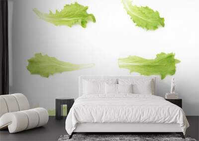 Fresh salad leaf isolated Wall mural