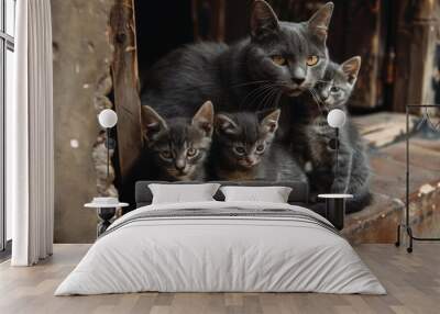 A Mother Cat's Love: Grey Felines Nestled in a Window Frame Wall mural