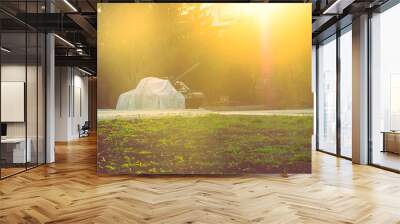 a tank covered with light material in the rays of evening backlight, selective focus Wall mural